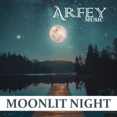 Moonlit Night