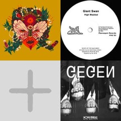 organic techno