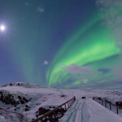 Tarraxo fr3sh [Edit]