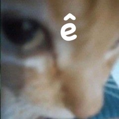 😻
