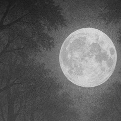 Hľadím na ten istý mesiac ako ona