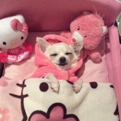 You are my senpai ♪