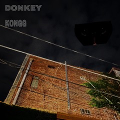 Lv Dolo - Donkey Kongg
