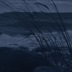 never be alone dariacore