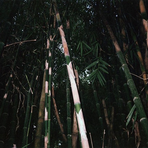 SOPHIA ZHURAVKOVA w/ YUSK 080924