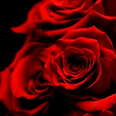 Red Roses [prod. Midas]