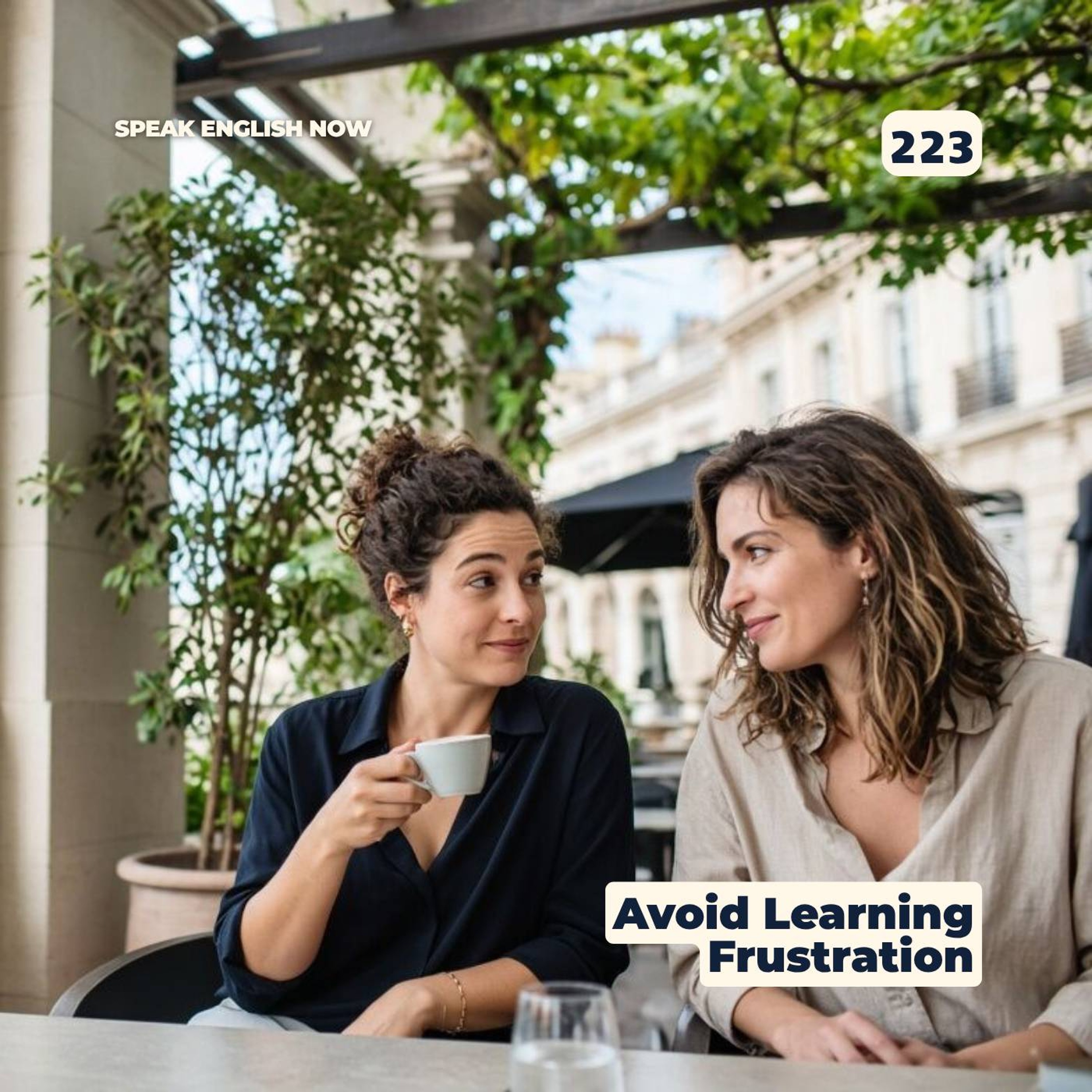 223 How to avoid frustration while learning English episode artwork