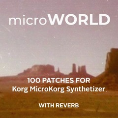01 - A11 MicroKorg Patch with Reverb