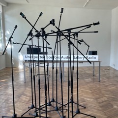 Bobijs Velns _ Unexpected Sources Audio Gallery @ Smilga