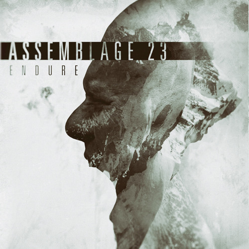 Assemblage 23