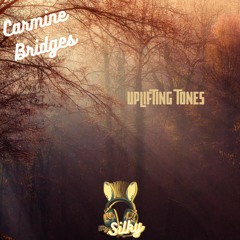 Carmine Bridges - Uplifting Tones (Mr Silky's LoFi Beats)
