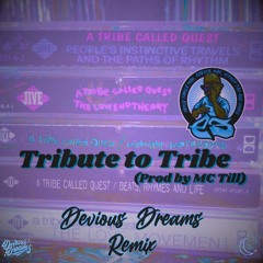 Es - Tribute to Tribe (Devious Dreams Remix)