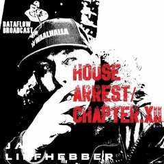 Jan Liefhebber - House Arrest-Chapter.XII - Late Night Session (19.05.20)