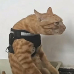 димакс