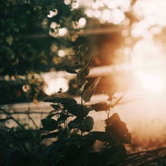 Jazz Cafe[INSTRUMENTAL]
