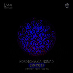 Nordton A.K.A. Nomad - Percussive (David Phoenix Remix)