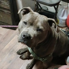 Big Sean - L.A. Leakers Freestyle