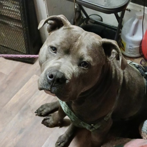 Big Sean - L.A. Leakers Freestyle