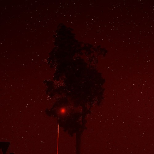 (Intro) thinking about you