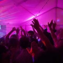 Dancefloor Woodstock 2024, Revival in the Branlebois, France