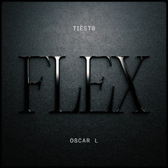 Tiësto x Oscar L x Julian Jordan x CALV - Flex Bassline Back (Ali Nadem Mashup)