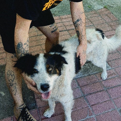 What Could I Possibly Do?