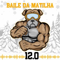 BAILE DA MATILHA 12.0 - ESPECIAL XXVIII INTERMED SUL