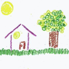 Birds Outside My Window