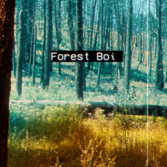 Forest Boi ft. Migullityo (prod. Aktion Jackson)