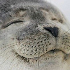 Unknown Artist - Some Songs Belong Together (K&F Edit)