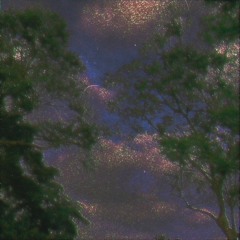 cover// We'll never have sex (Leith Ross)