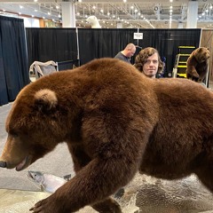 The Big Bear