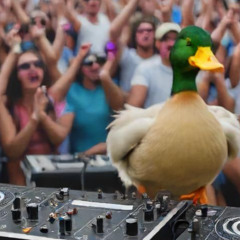 Soulful Duck