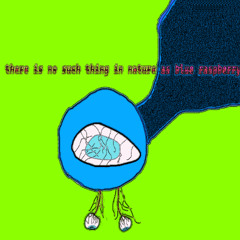 there is no such thing in nature as blue raspberry