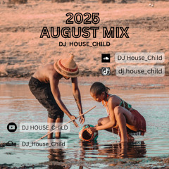Episode 238 August Amapiano Mix 2025