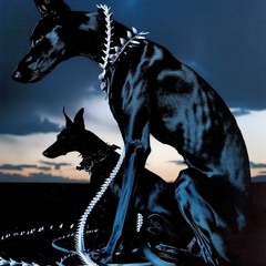 K9 (part. Big Rush)