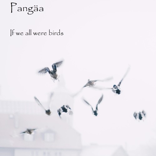 If we all were birds