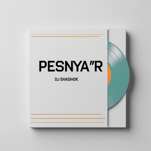 Dj Shashok-Pesnya R