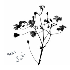 wabi sabi