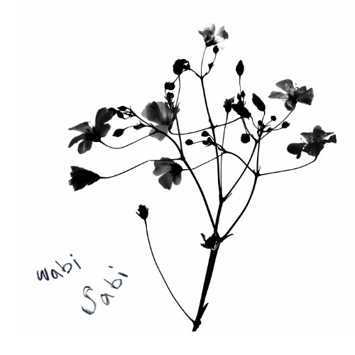 wabi sabi (little bit longer)