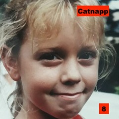Landelles Mix 8 I Catnapp