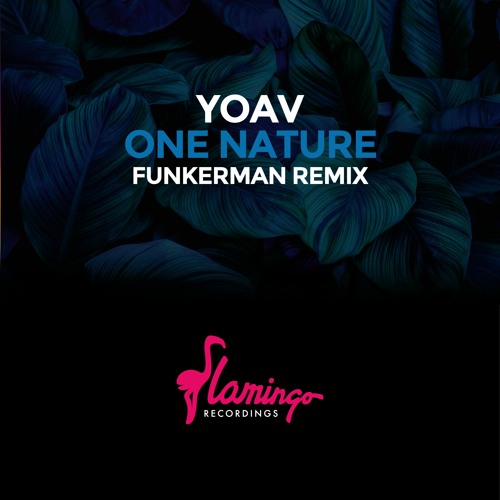 Yoav - One Nature (Funkerman Mix)