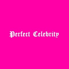 Lady Gaga - Perfect Celebrity (remix)