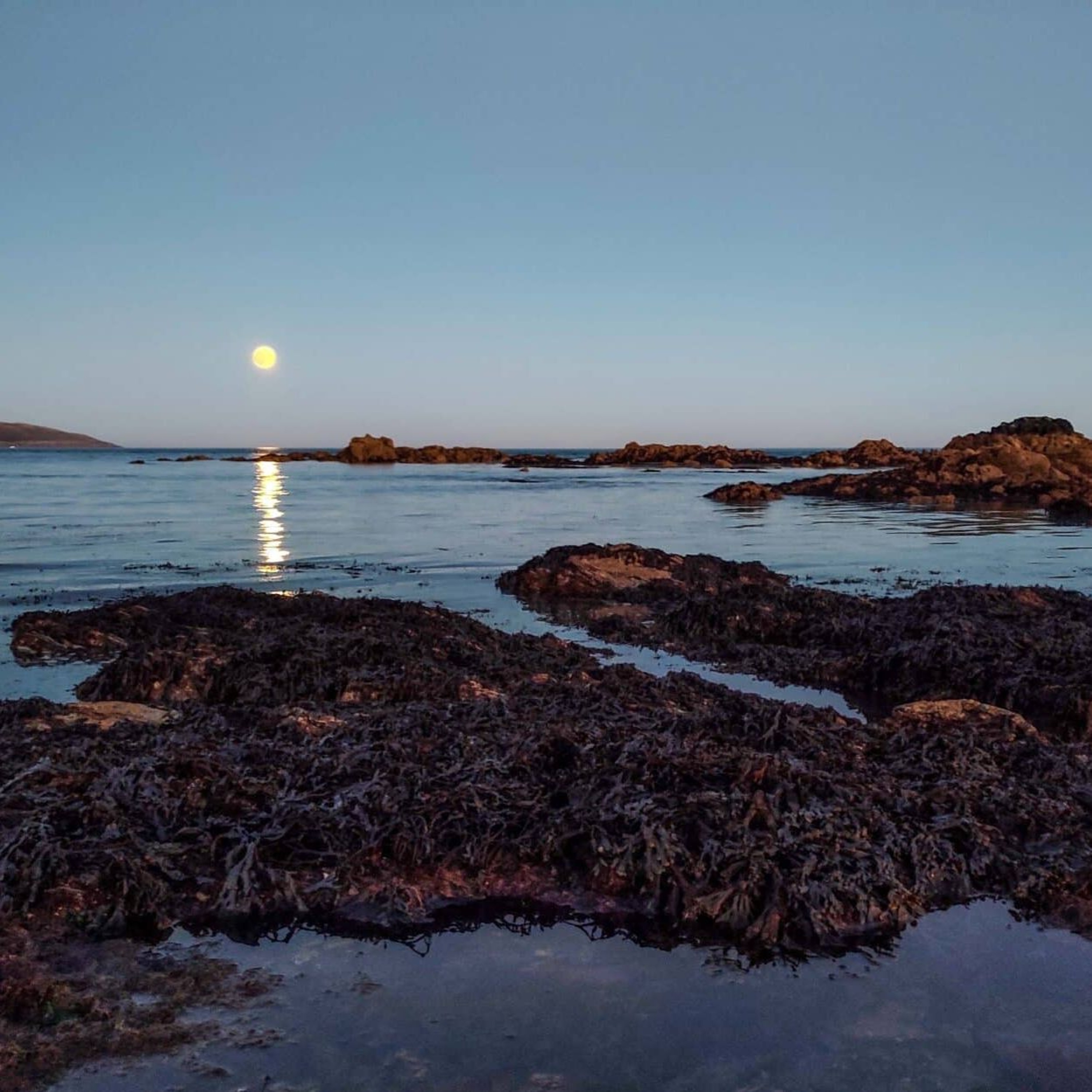 Peche en irlande
