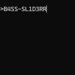 B4SS-SL1D3RR