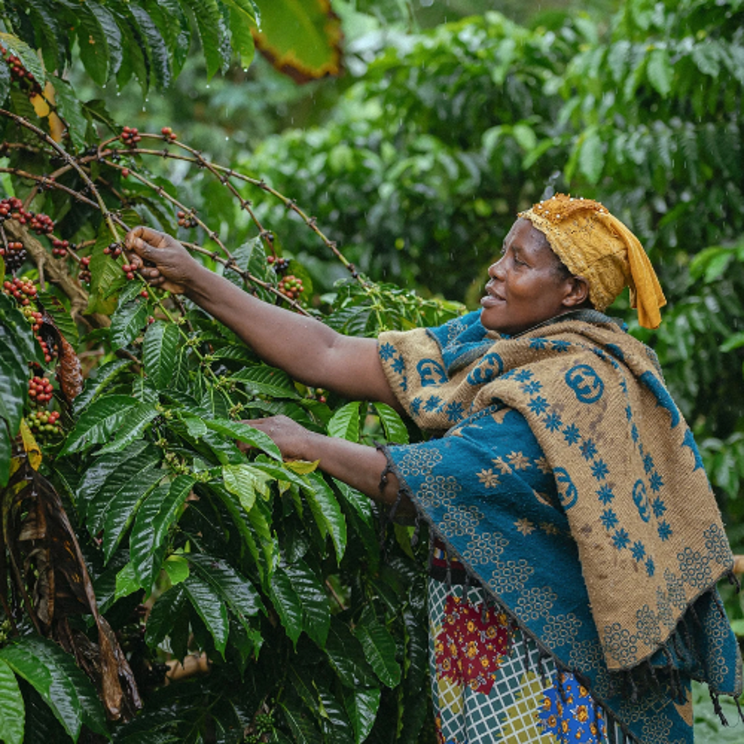 Episode 147: Kahea Pacheco - Women's Earth Alliance