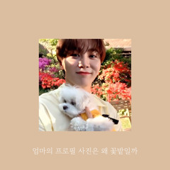 [세븐틴/SEVENTEEN] 엄마의 프로필 사진은 왜 꽃밭일까 승관 Seung-gwan (cover)
