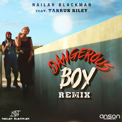 Dangerous Boy (Remix) [feat. Tarrus Riley]