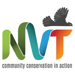 Introducing NVT