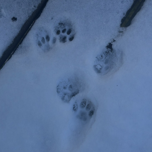 sorry i thought about it  ~ prod.Noah Wilkes